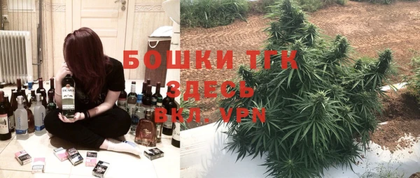 spice Абаза