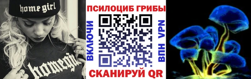 Псилоцибиновые грибы прущие грибы  ОМГ ОМГ рабочий сайт  Питкяранта 